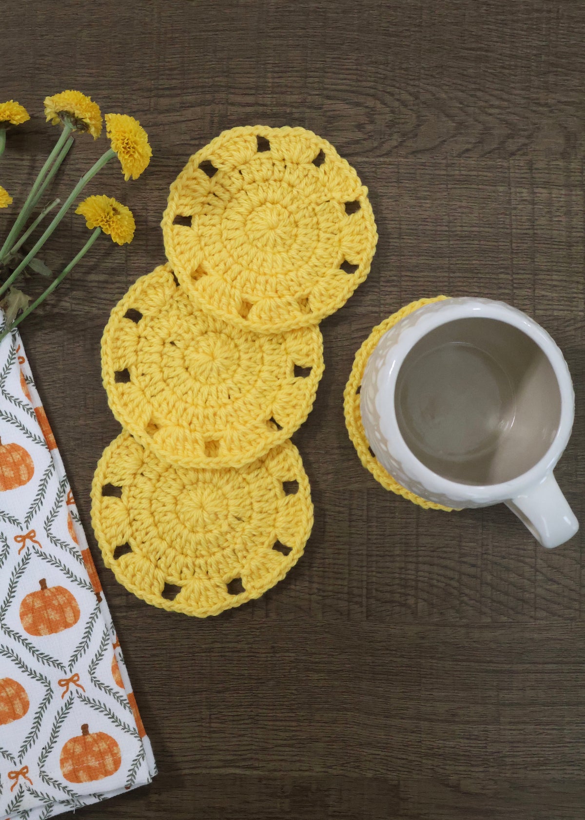 Fall Color Coasters - Set of 2